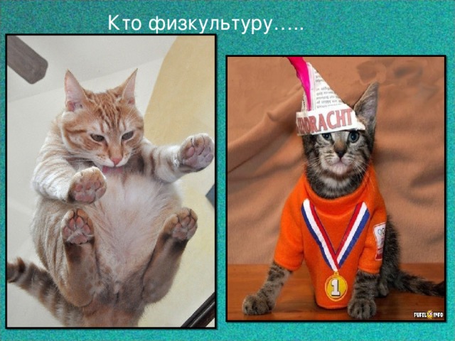 Кто физкультуру….. 