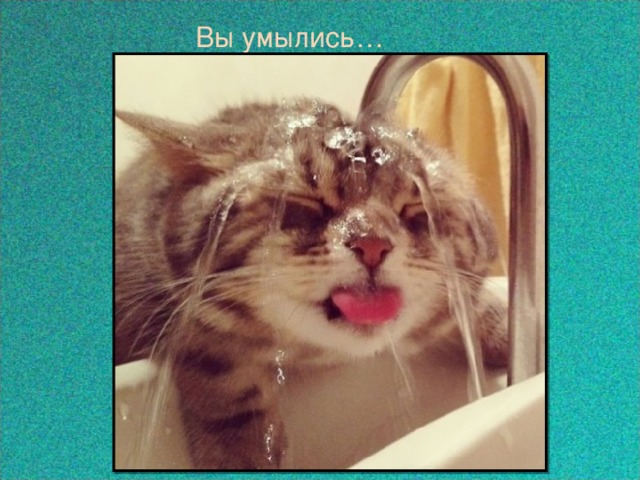  Вы умылись… 