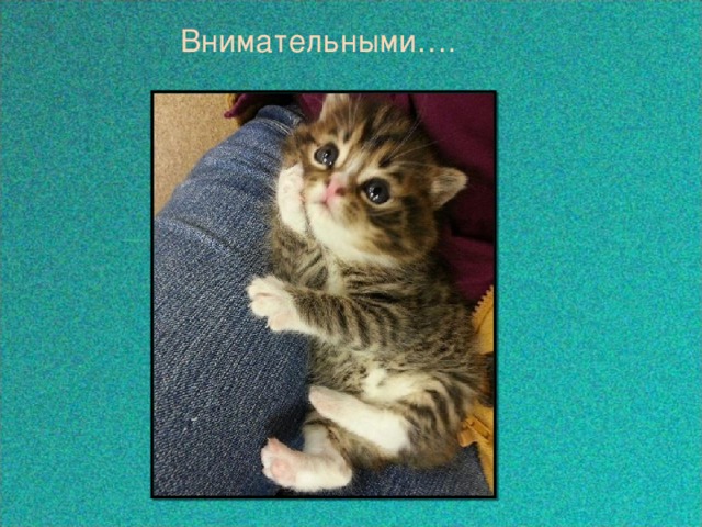  Внимательными….  
