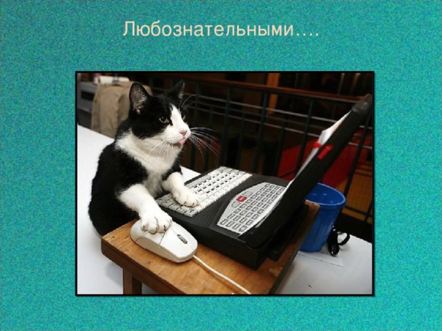  Любознательными….  