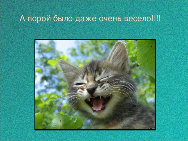 А порой было даже очень весело!!!! 