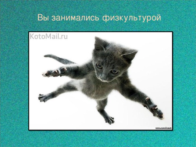  Вы занимались физкультурой  