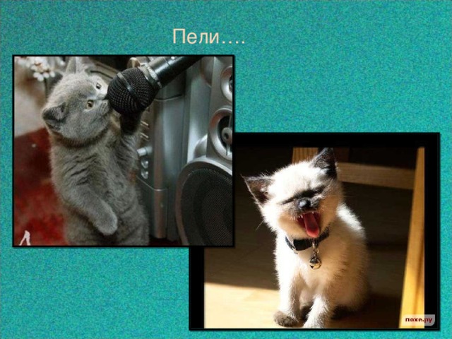  Пели…. 