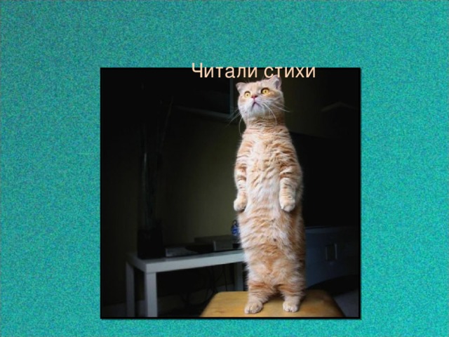  Читали стихи 
