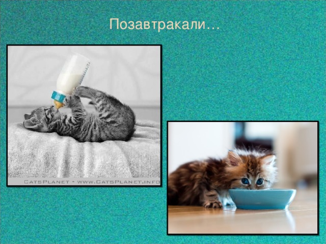  Позавтракали…  