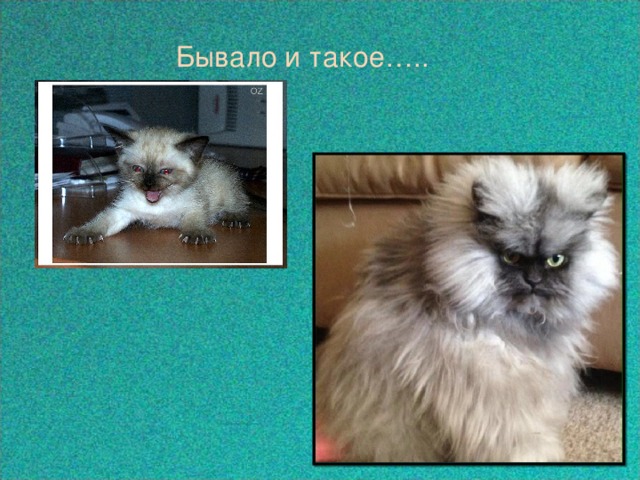  Бывало и такое….. 
