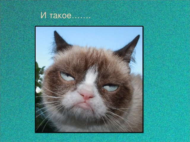 И такое…….  