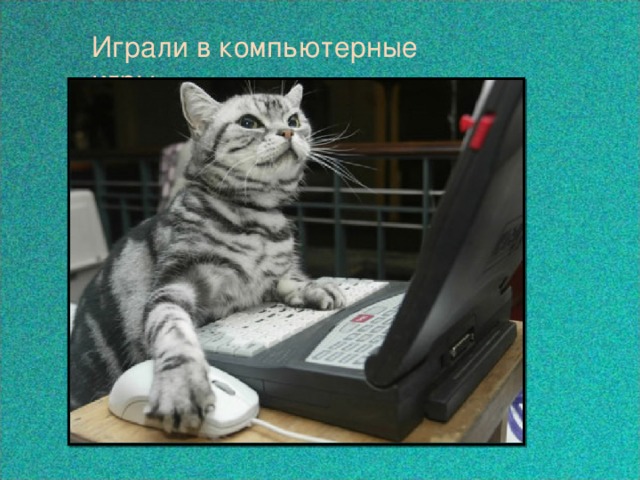 Играли в компьютерные игры  
