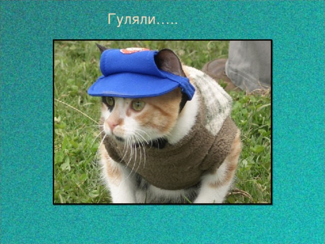  Гуляли…..  
