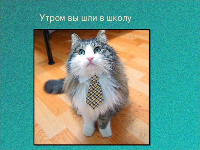  Утром вы шли в школу  