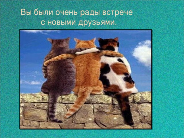 Вы были очень рады встрече с новыми друзьями. 