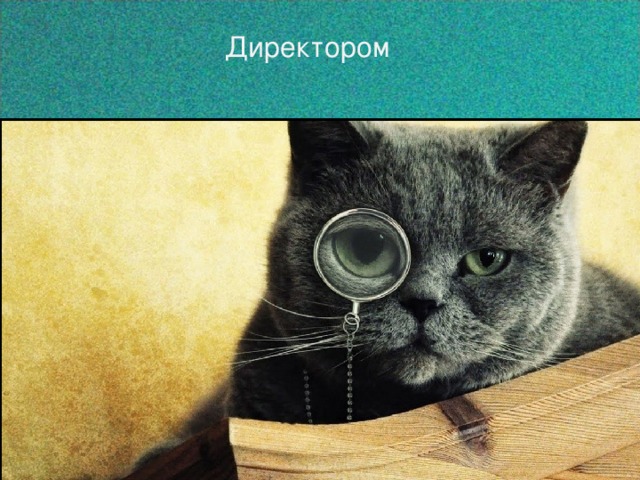 Директором 