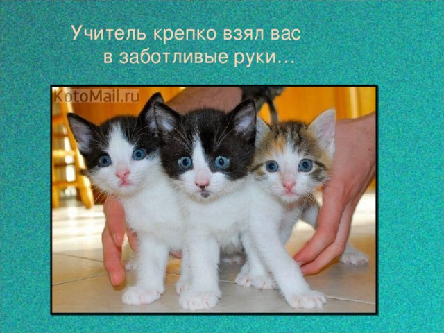 Учитель крепко взял вас  в заботливые руки… 