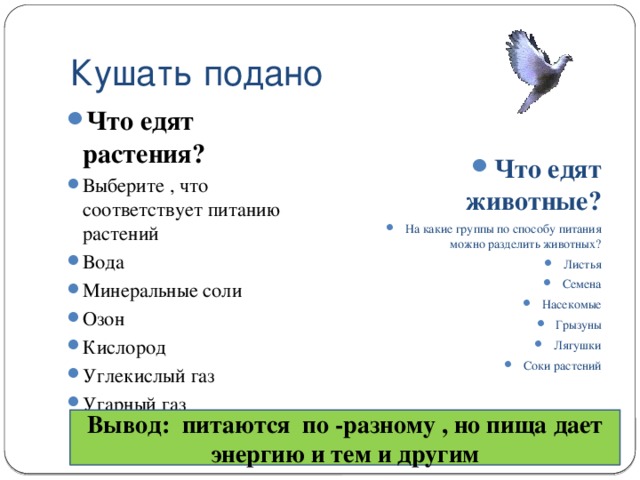 Кушать подано Что едят растения? Выберите , что соответствует питанию растений Вода Минеральные соли Озон Кислород Углекислый газ Угарный газ Что едят животные? На какие группы по способу питания можно разделить животных? Листья Семена Насекомые Грызуны Лягушки Соки растений Вывод: питаются по -разному , но пища дает энергию и тем и другим 