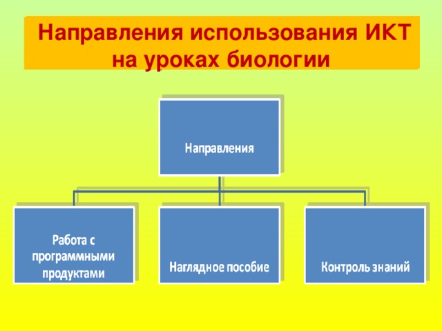 Использование рисунков на уроках биологии