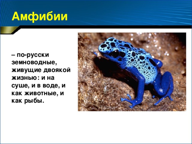 О чем идет речь? Оксид кислотный – углекислый газ – С водой соединяется охотно, Хоть воду эту пили мы не раз, Не думали, что пьем раствор кислотный.   Составьте соответствующее уравнение реакции.