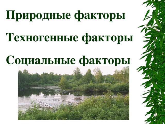 Природные факторы Техногенные факторы Социальные факторы 