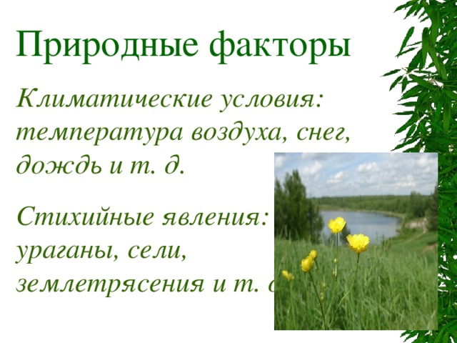 Природные факторы Климатические условия: температура воздуха, снег, дождь и т. д. Стихийные явления: ураганы, сели, землетрясения и т. д . 