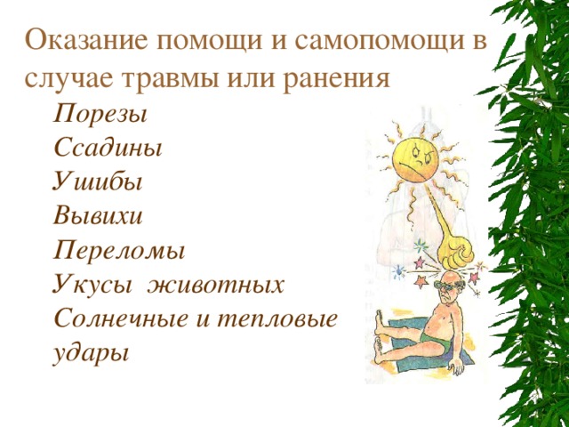 Оказание помощи и самопомощи в случае травмы или ранения Порезы Ссадины Ушибы Вывихи Переломы Укусы животных Солнечные и тепловые удары  