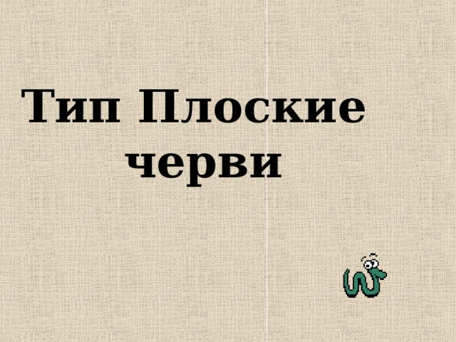 Тип Плоские черви 