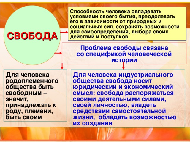 Свобода Начинается С Иронии Эссе По Обществознанию Свобода Начинается С Иронии Эссе По Обществознанию