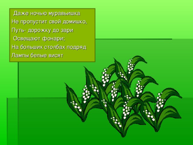 Даже ночью муравьишка Не пропустит свой домишко, Путь- дорожку до зари  Освещают фонари; На больших столбах подряд Лампы белые висят