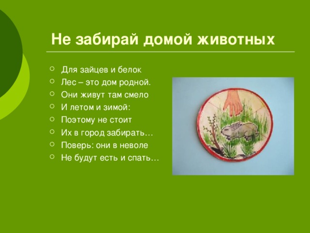 Не забирай домой животных Для зайцев и белок Лес – это дом родной. Они живут там смело И летом и зимой: Поэтому не стоит Их в город забирать… Поверь: они в неволе Не будут есть и спать… 