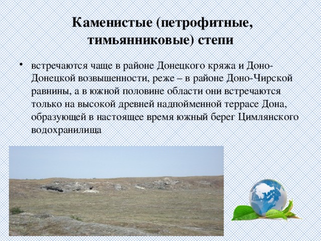   Каменистые (петрофитные, тимьянниковые) степи встречаются чаще в районе Донецкого кряжа и Доно-Донецкой возвышенности, реже – в районе Доно-Чирской равнины, а в южной половине области они встречаются только на высокой древней надпойменной террасе Дона, образующей в настоящее время южный берег Цимлянского водохранилища  