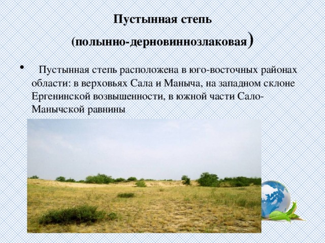 Пустынная степь  (полынно-дерновиннозлаковая )   Пустынная степь расположена в юго-восточных районах области: в верховьях Сала и Маныча, на западном склоне Ергенинской возвышенности, в южной части Сало-Манычской равнины 