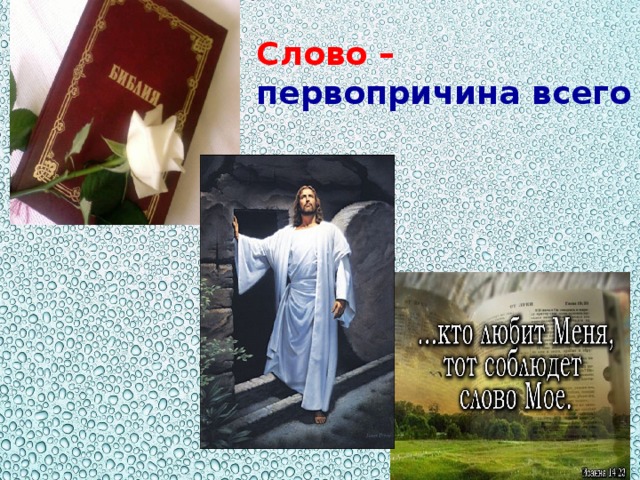 Слово – первопричина всего 