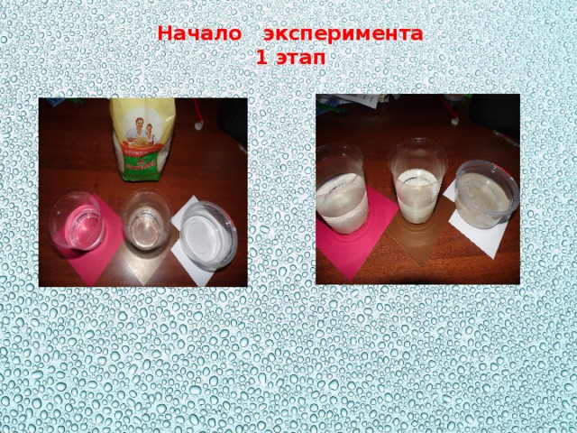 Начало эксперимента  1 этап 