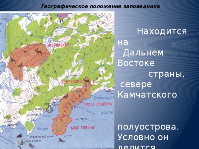 Учебники