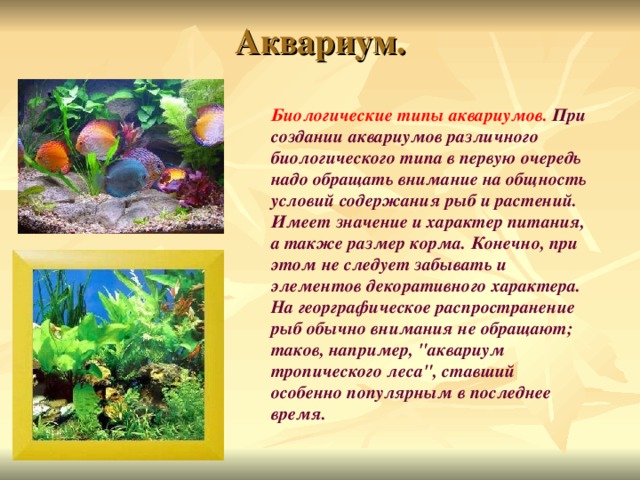 Аквариум. Биологические типы аквариумов. При создании аквариумов различного биологического типа в первую очередь надо обращать внимание на общность условий содержания рыб и растений. Имеет значение и характер питания, а также размер корма. Конечно, при этом не следует забывать и элементов декоративного характера. На георграфическое распространение рыб обычно внимания не обращают; таков, например, 