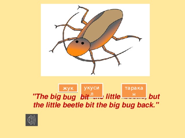 укусил таракан жук beetle, 