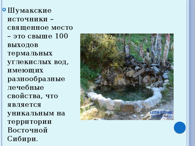 Шумакские источники – священное место – это свыше 100 выходов термальных углекислых вод, имеющих разнообразные лечебные свойства, что является уникальным на территории Восточной Сибири. 