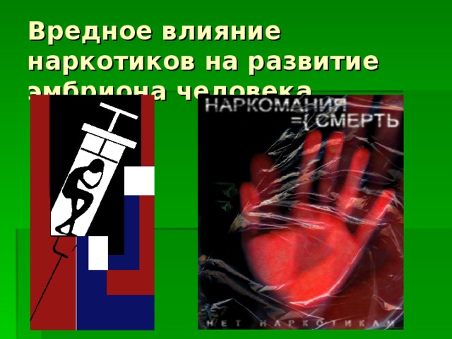 Вредное влияние наркотиков на развитие эмбриона человека 