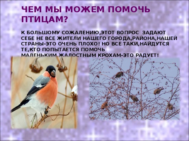 ЧЕМ МЫ МОЖЕМ ПОМОЧЬ ПТИЦАМ?   К БОЛЬШОМУ СОЖАЛЕНИЮ,ЭТОТ ВОПРОС ЗАДАЮТ СЕБЕ НЕ ВСЕ ЖИТЕЛИ НАШЕГО ГОРОДА,РАЙОНА,НАШЕЙ СТРАНЫ-ЭТО ОЧЕНЬ ПЛОХО! НО ВСЕ ТАКИ,НАЙДУТСЯ ТЕ,КТО ПОПЫТАЕТСЯ ПОМОЧЬ МАЛЕНЬКИМ,ЖАЛОСТНЫМ КРОХАМ-ЭТО РАДУЕТ! 