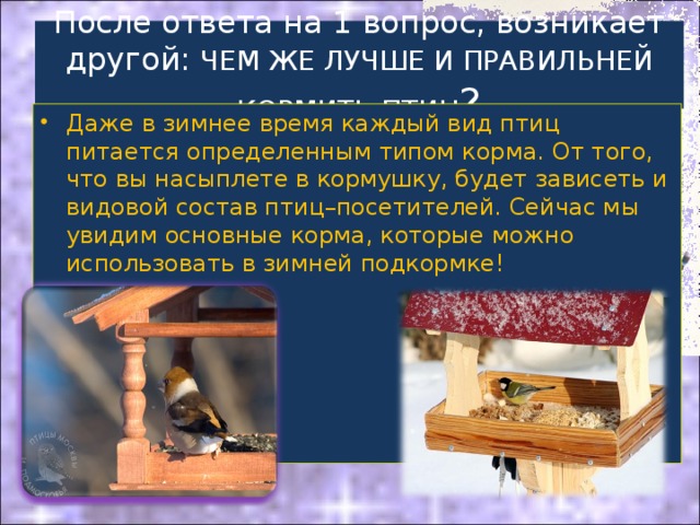 После ответа на 1 вопрос, возникает другой: ЧЕМ ЖЕ ЛУЧШЕ И ПРАВИЛЬНЕЙ КОРМИТЬ ПТИЦ ? Даже в зимнее время каждый вид птиц питается определенным типом корма. От того, что вы насыплете в кормушку, будет зависеть и видовой состав птиц–посетителей. Сейчас мы увидим основные корма, которые можно использовать в зимней подкормке!   