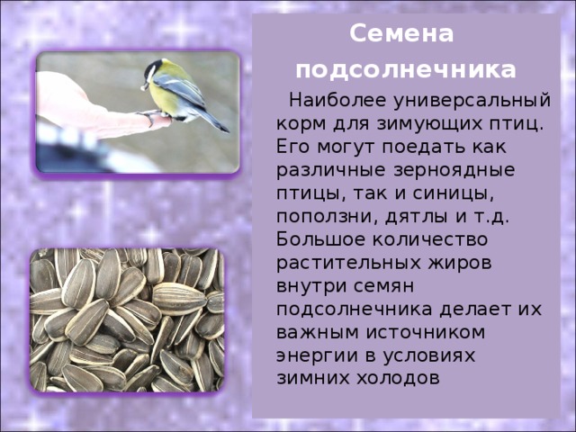 Семена подсолнечника  Наиболее универсальный корм для зимующих птиц. Его могут поедать как различные зерноядные птицы, так и синицы, поползни, дятлы и т.д. Большое количество растительных жиров внутри семян подсолнечника делает их важным источником энергии в условиях зимних холодов 