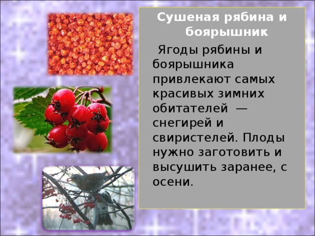 Сушеная рябина и боярышник  Ягоды рябины и боярышника привлекают самых красивых зимних обитателей — снегирей и свиристелей. Плоды нужно заготовить и высушить заранее, с осени.   