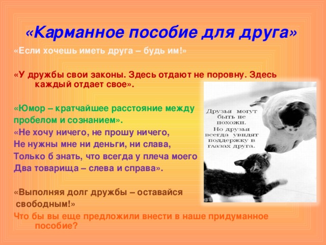 «Карманное пособие для друга»  «Если хочешь иметь друга – будь им!»  «У дружбы свои законы. Здесь отдают не поровну. Здесь каждый отдает свое».  «Юмор – кратчайшее расстояние между пробелом и сознанием». «Не хочу ничего, не прошу ничего, Не нужны мне ни деньги, ни слава, Только б знать, что всегда у плеча моего Два товарища – слева и справа».  «Выполняя долг дружбы – оставайся  свободным!» Что бы вы еще предложили внести в наше придуманное пособие? 