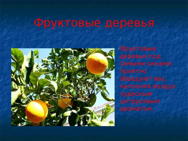 Фруктовые деревья Фруктовые деревья под самыми окнами приятно обрадуют вас, наполняя воздух чудесным цитрусовым ароматом. 