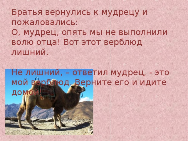 Братья вернулись к мудрецу и пожаловались:  О, мудрец, опять мы не выполнили волю отца! Вот этот верблюд лишний.   Не лишний, – ответил мудрец, - это мой верблюд. Верните его и идите домой! 