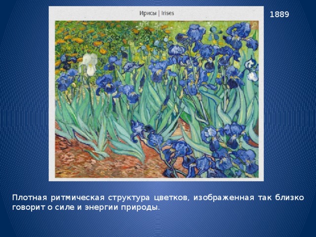1889 Плотная ритмическая структура цветков, изображенная так близко говорит о силе и энергии природы. 