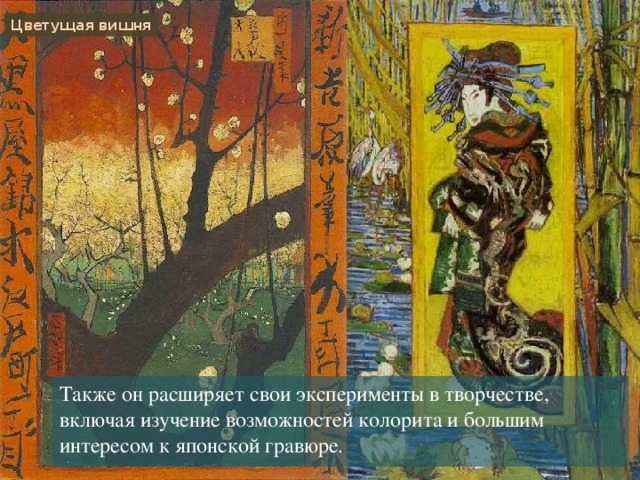 Цветущая вишня Также он расширяет свои эксперименты в творчестве, включая изучение возможностей колорита и большим интересом к японской гравюре. 