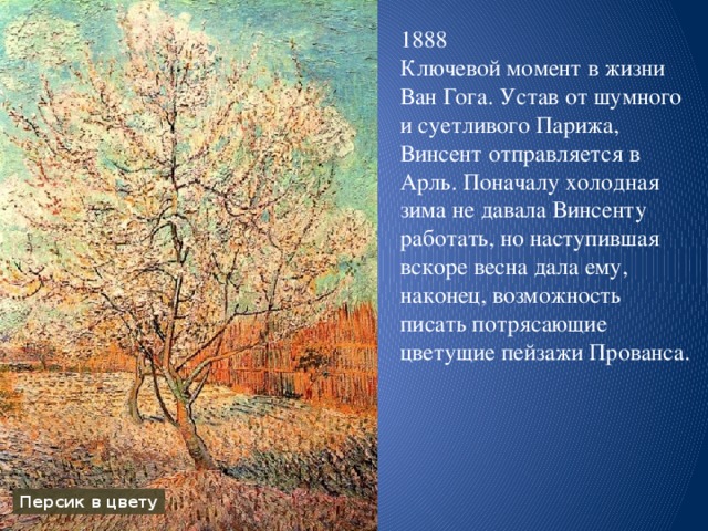 1888  Ключевой момент в жизни Ван Гога. Устав от шумного и суетливого Парижа, Винсент отправляется в Арль. Поначалу холодная зима не давала Винсенту работать, но наступившая вскоре весна дала ему, наконец, возможность писать потрясающие цветущие пейзажи Прованса. Персик в цвету 