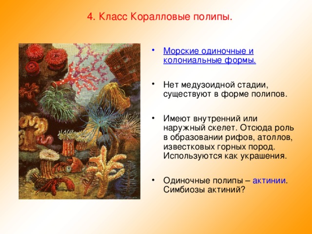 4. Класс Коралловые полипы. Морские одиночные и колониальные формы.  Нет медузоидной стадии, существуют в форме полипов.  Имеют внутренний или наружный скелет. Отсюда роль в образовании рифов, атоллов, известковых горных пород. Используются как украшения.  Одиночные полипы – актинии . Симбиозы актиний?  