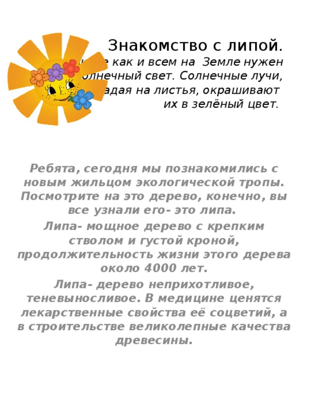 Знакомство с липой.  Так же как и всем на Земле нужен  солнечный свет. Солнечные лучи,  попадая на листья, окрашивают  их в зелёный цвет.       Ребята, сегодня мы познакомились с новым жильцом экологической тропы. Посмотрите на это дерево, конечно, вы все узнали его- это липа. Липа- мощное дерево с крепким стволом и густой кроной, продолжительность жизни этого дерева около 4000 лет. Липа- дерево неприхотливое, теневыносливое. В медицине ценятся лекарственные свойства её соцветий, а в строительстве великолепные качества древесины. 