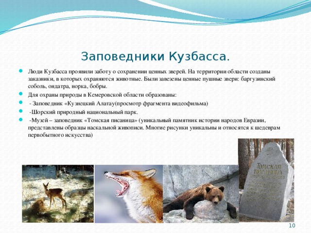 Заповедники Кузбасса. Люди Кузбасса проявили заботу о сохранении ценных зверей. На территории области созданы заказники, в которых охраняются животные. Были завезены ценные пушные звери: баргузинский соболь, ондатра, норка, бобры. Для охраны природы в Кемеровской области образованы:  - Заповедник «Кузнецкий Алатау(просмотр фрагмента видеофильма)  -Шорский природный национальный парк.  -Музей – заповедник «Томская писаница» (уникальный памятник истории народов Евразии, представлены образцы наскальной живописи. Многие рисунки уникальны и относятся к шедеврам первобытного искусства) 9 