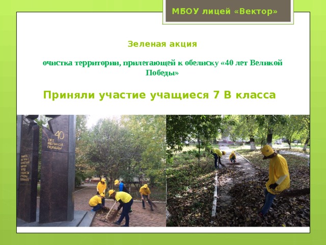 МБОУ лицей «Вектор» Зеленая акция   о чистка территории, прилегающей к обелиску «40 лет Великой Победы» Приняли участие учащиеся 7 В класса 